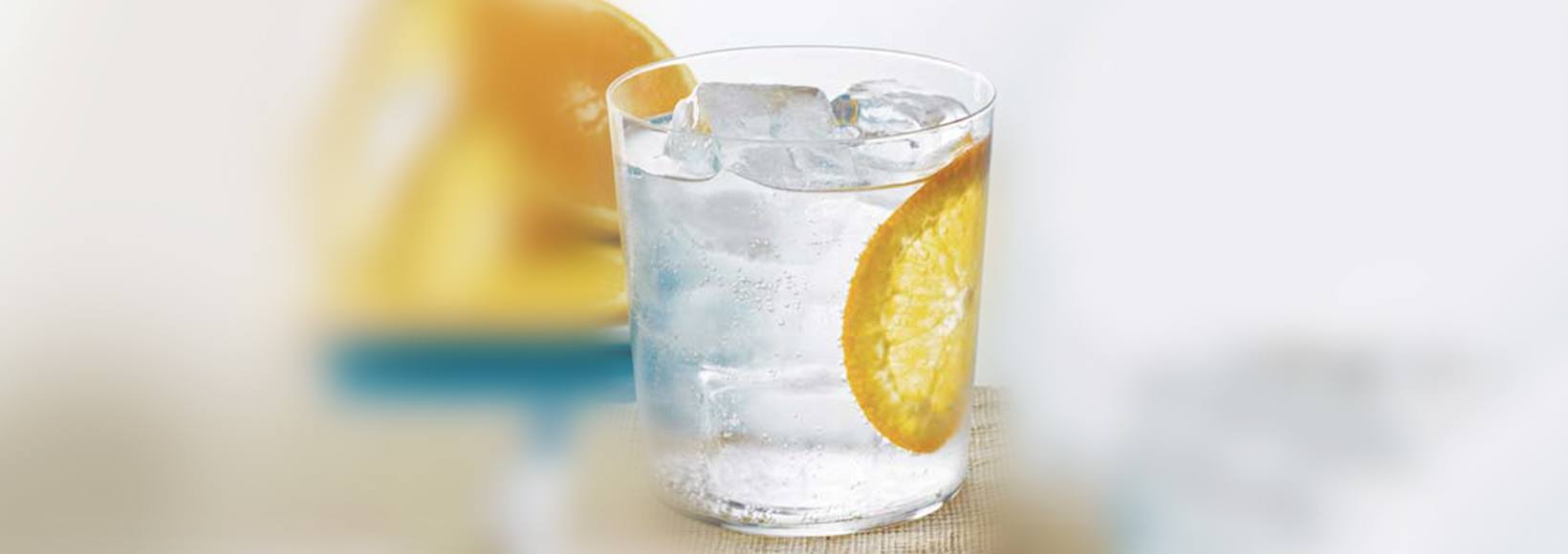 GREY GOOSE L’ORANGE AND SPARKLING WATER
