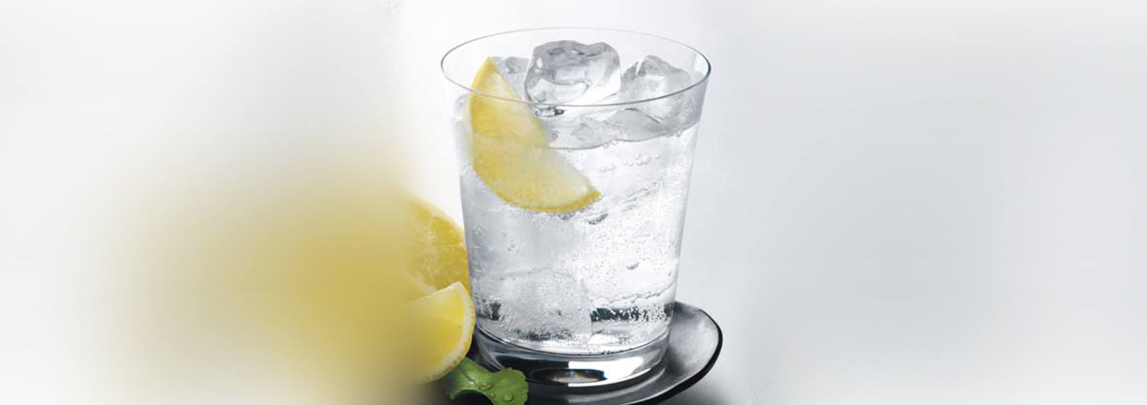 GREY GOOSE LE CITRON AND SPARKLING WATER