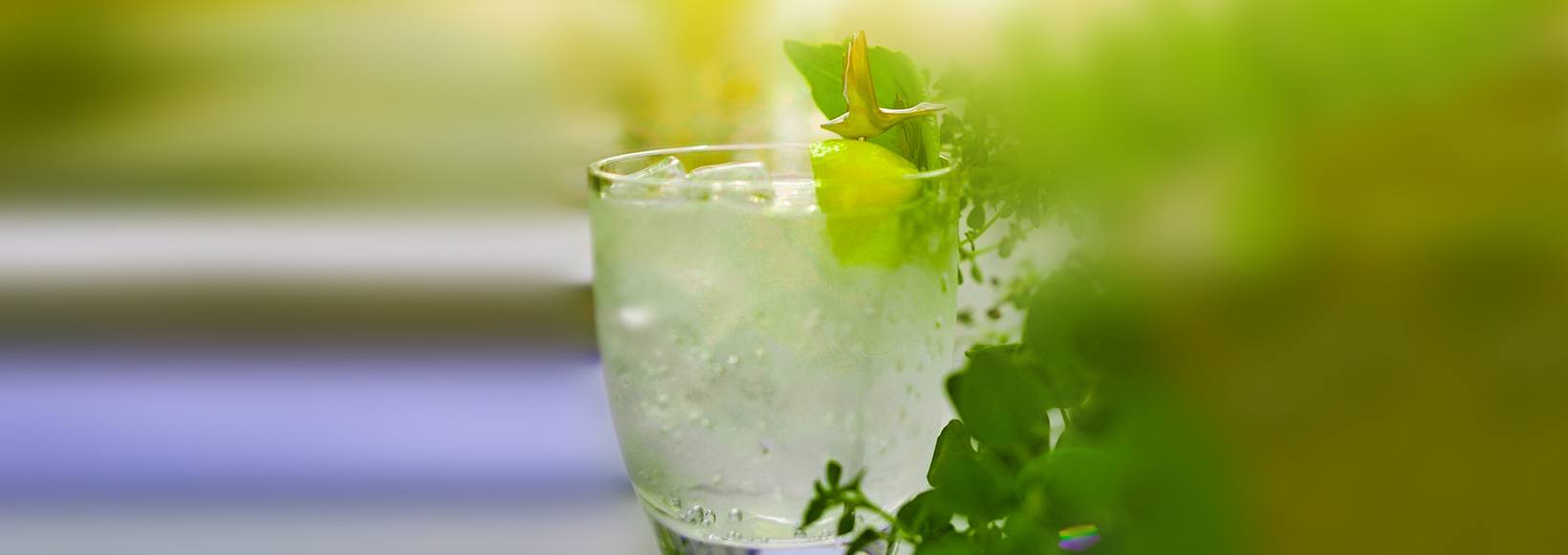 Grey Goose Lime And Soda Cocktail Recipe Grey Goose