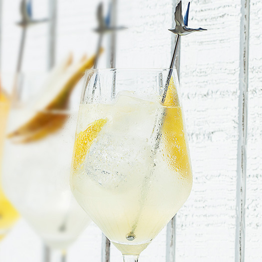 LE CITRON GRAND FIZZ