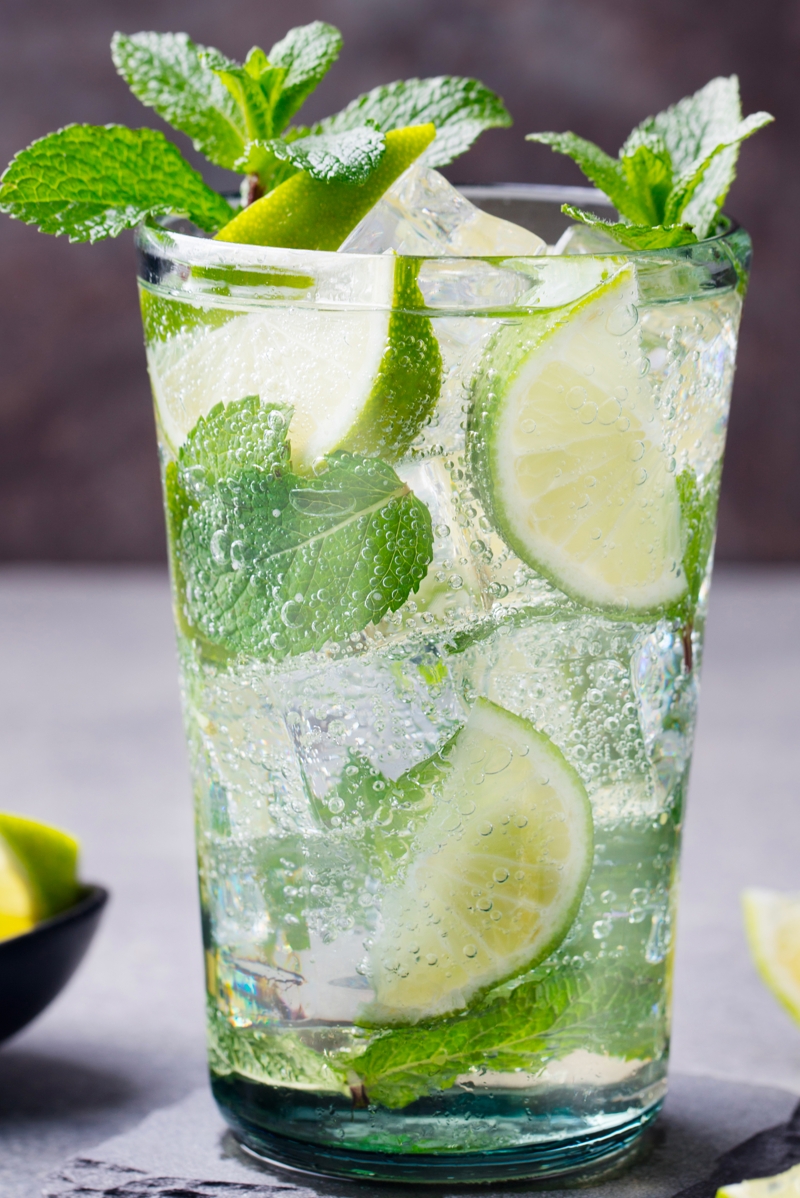 Mojito With Cocktail Shaker At Stephanie Watt Blog
