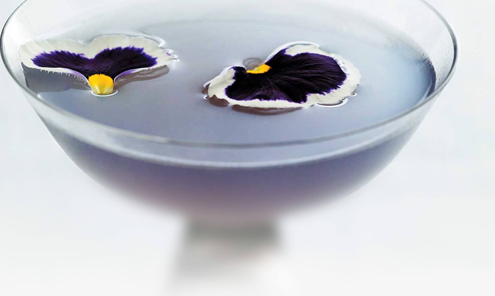 Black Orchid
