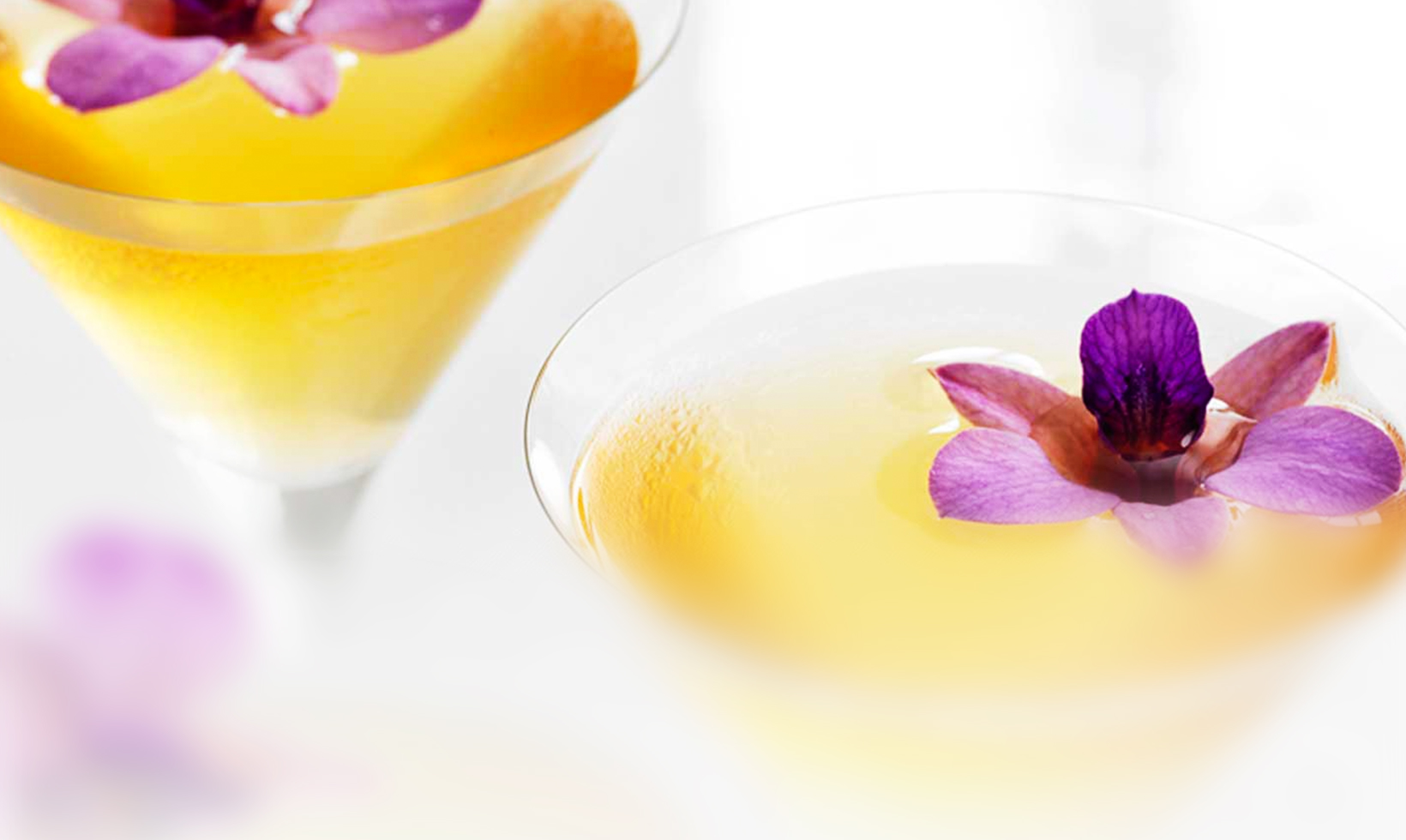 Butterfly Martini Cocktail