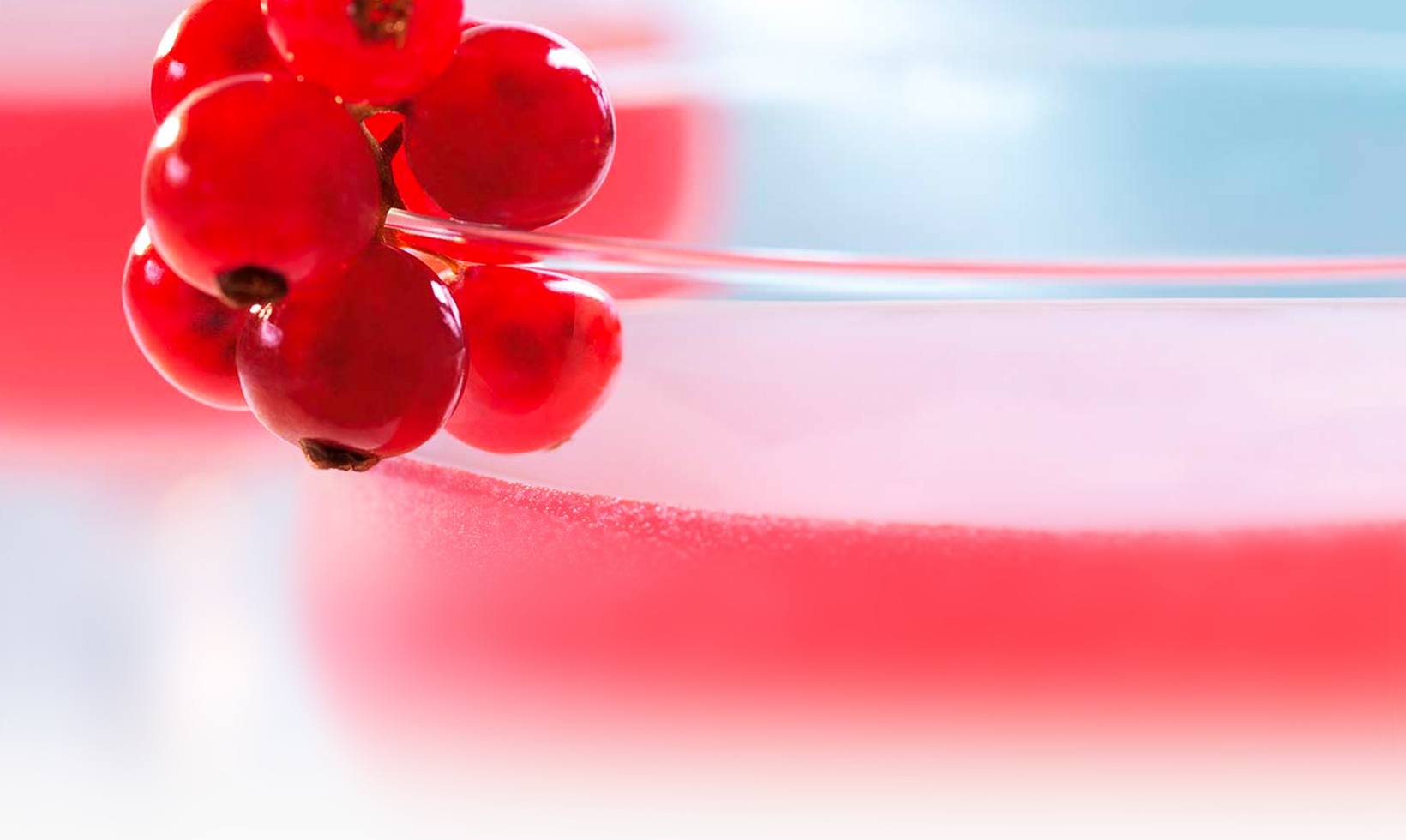 Cherry Rose