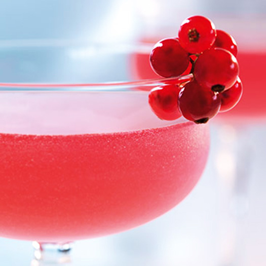 Cherry Rose